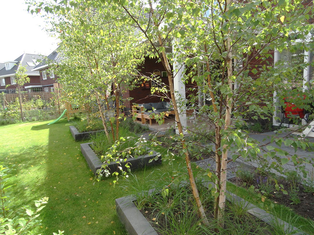 Tuinmetamorfose Buitenwens Heemskerk