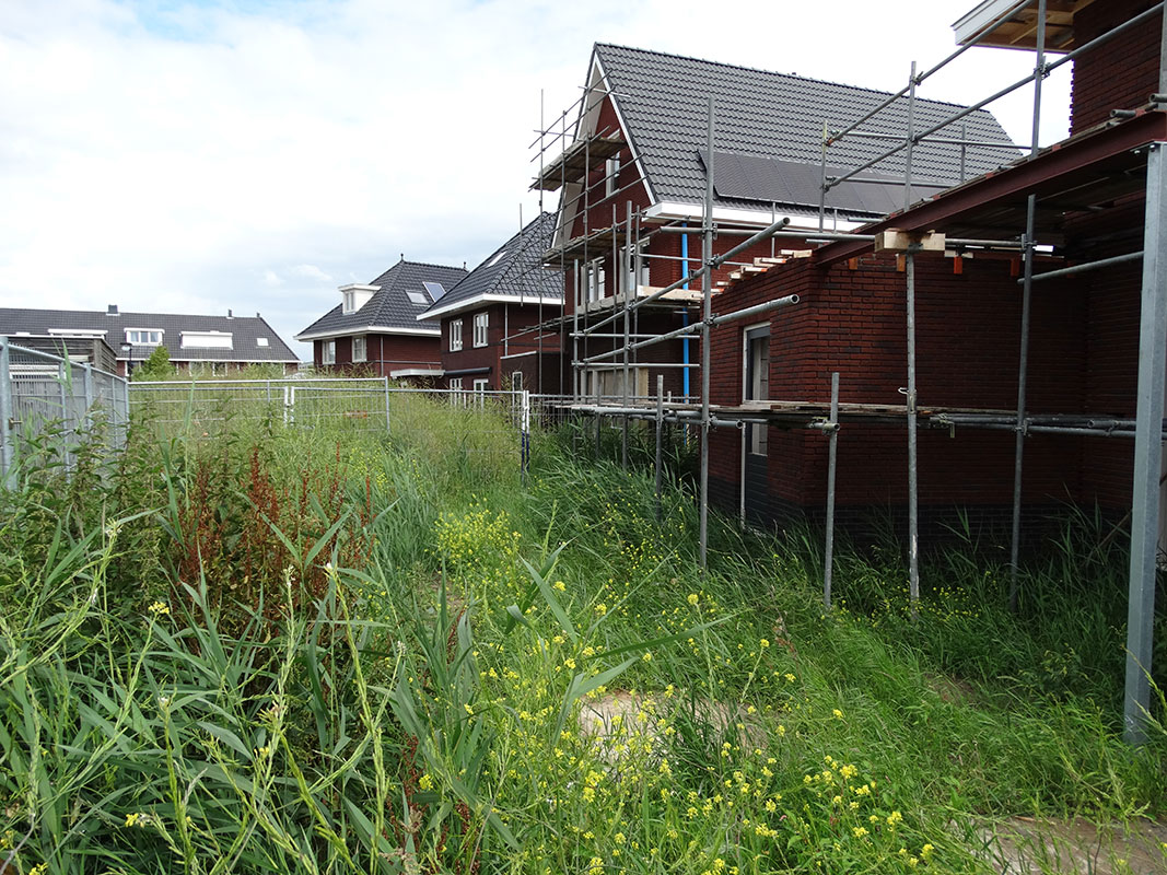 Tuinmetamorfose Buitenwens Heemskerk