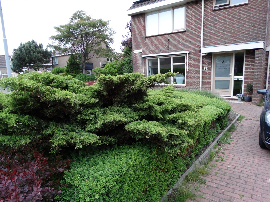 Tuinmetamorfose Buitenwens Heemskerk