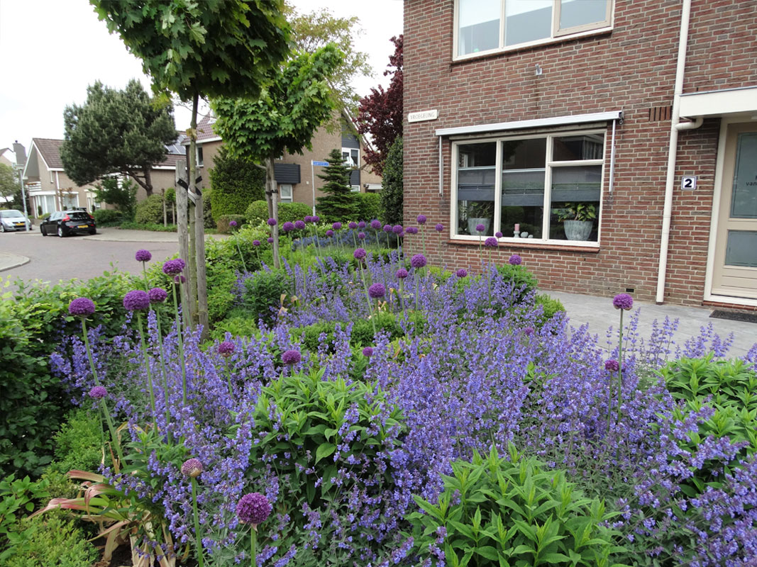 Tuinmetamorfose Buitenwens Heemskerk