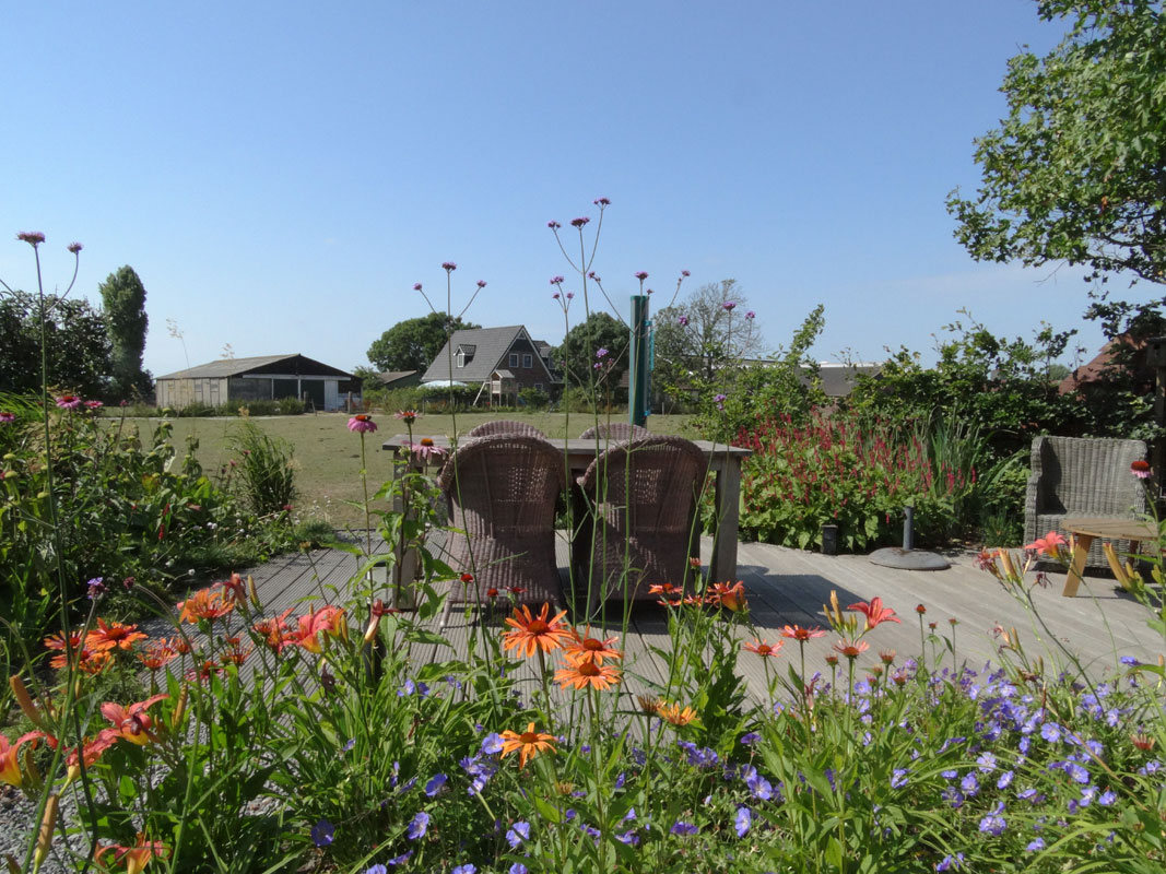 Buitenwens-Tuinontwerp-Heemskerk-LandelijkeTuin-Uitgeest-aan-sloot-en-weiland-Na