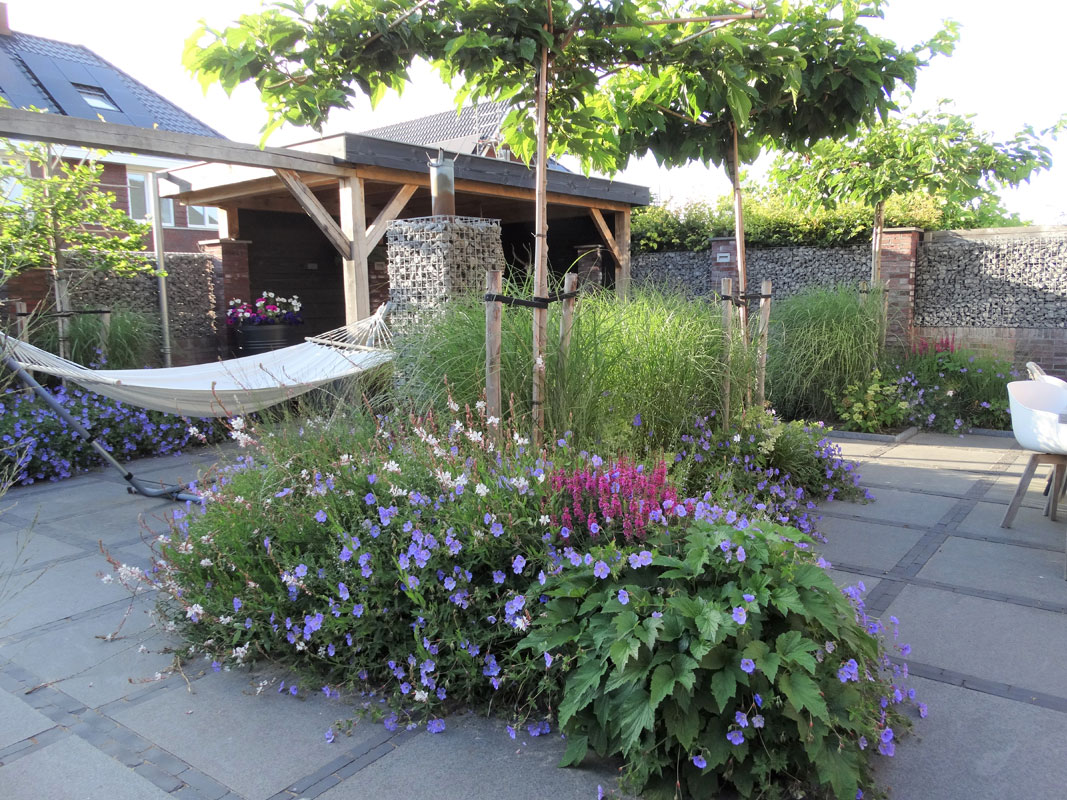 Buitenwens-Tuinontwerp-Heemskerk-Moderne-Leef-Tuin-Beverwijk-met-parasolbomen-hangmat-Na