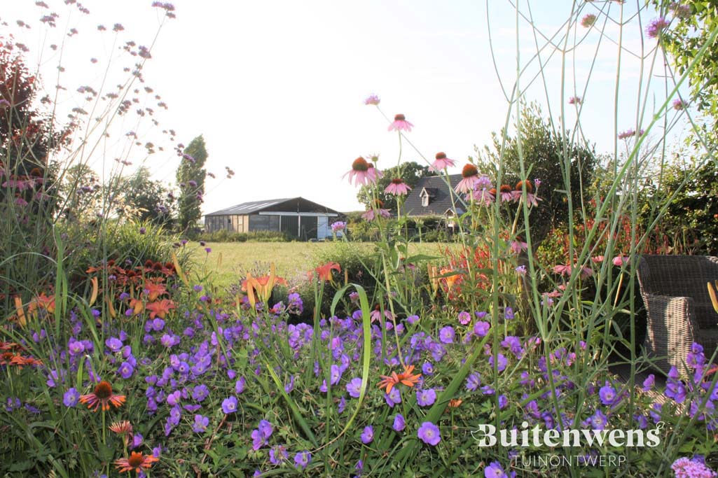 Buitenwens Heemskerk Tuinontwerp Eric en Angelique Bloemrijke tuin in de polder