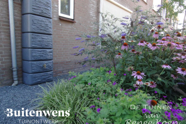 Buitenwens-Tuinontwerp-Heemskerk-Metamorfose-Duurzame-Tuin-Regenton