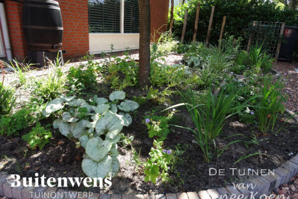 Buitenwens-Tuinontwerp-Heemskerk-Metamorfose-Schaduw-tuin