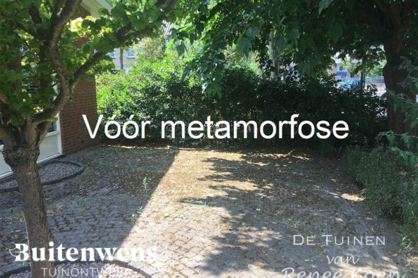 Buitenwens-Tuinontwerp-Heemskerk-Metamorfose-Versteende-tuin