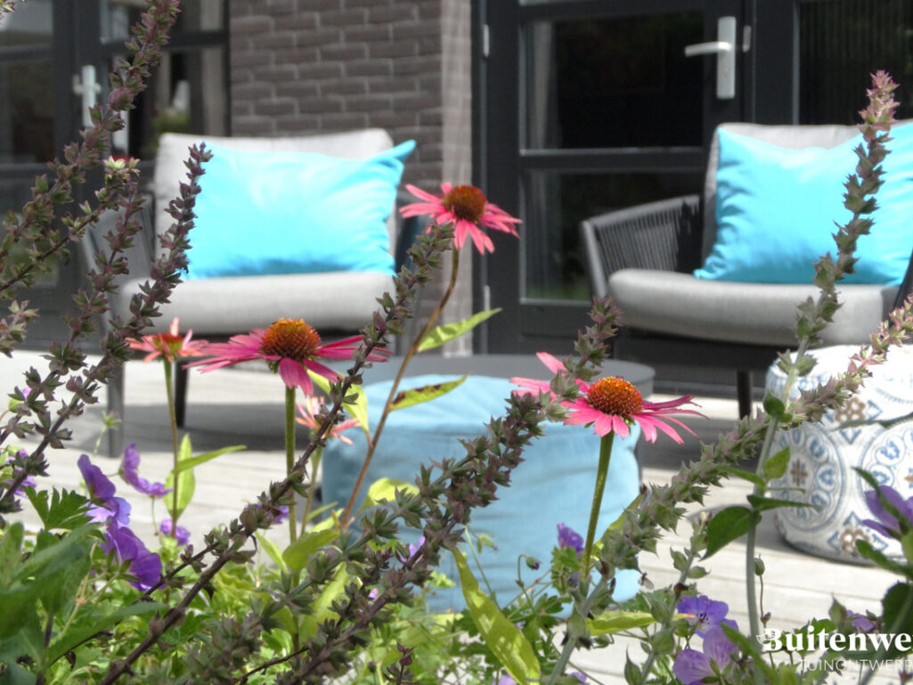 Buitenwens Tuinontwerp Heemkserk Moderne Leeftuin Heiloo Terras omringd met bloemen