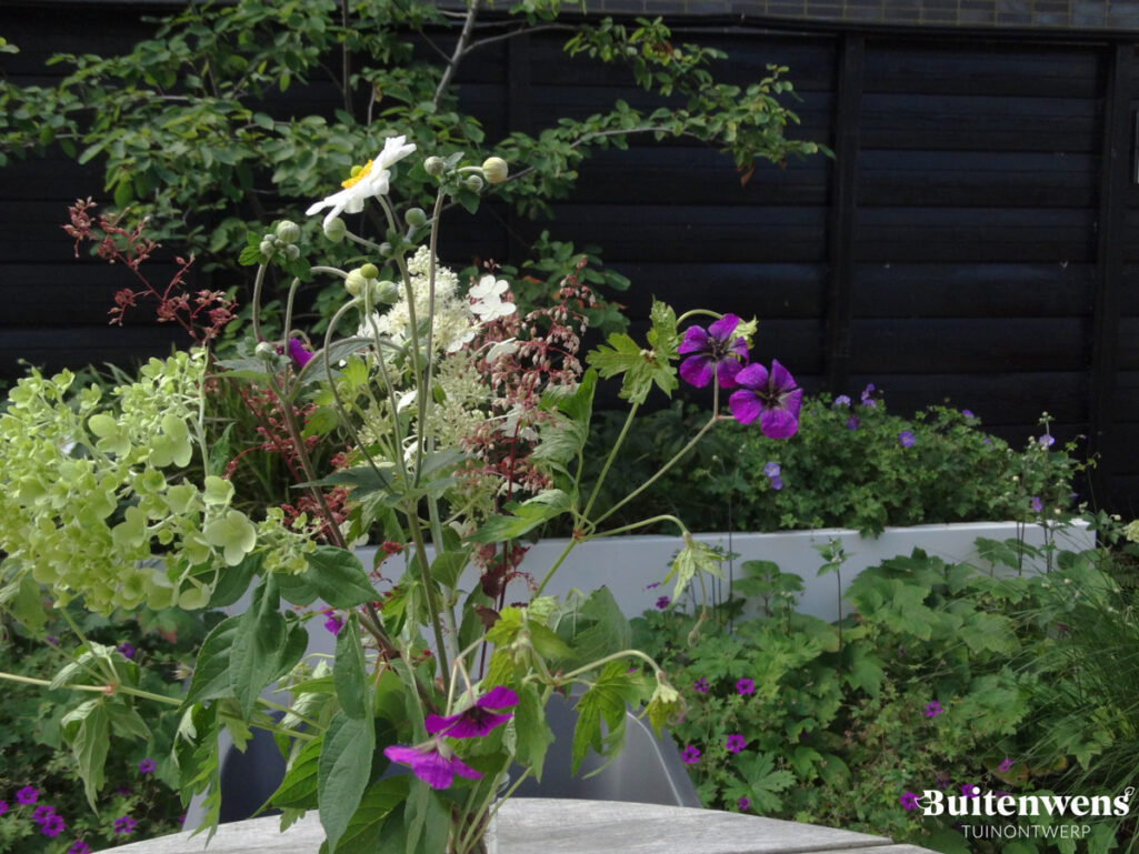 Buitenwens Tuinontwerp Heemkserk Moderne Leeftuin Heiloo met Plukbloemen uit de tuin