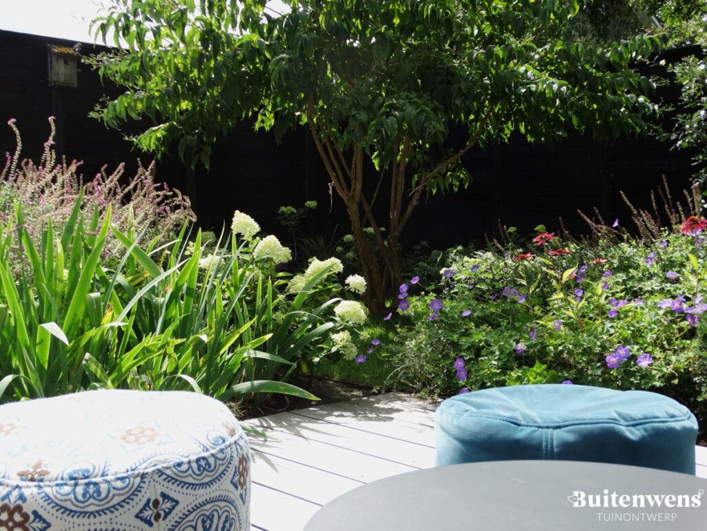 Buitenwens Tuinontwerp Heemkserk Moderne Leeftuin Heiloo met zevenzonenboom