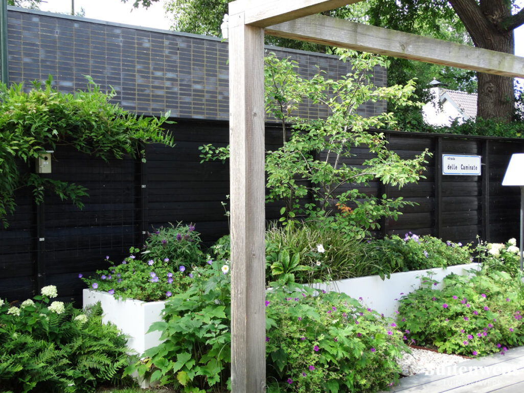 Buitenwens Tuinontwerp Heemkserk Moderne Leeftuin Heiloo met zwarte schutting en Witte Plantenbak
