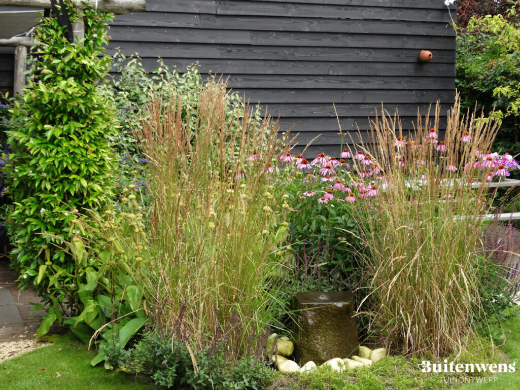 Buitenwens Tuinontwerp Heemskerk Landelijke tuin Heemskerk met waterelement tussen siergrassen